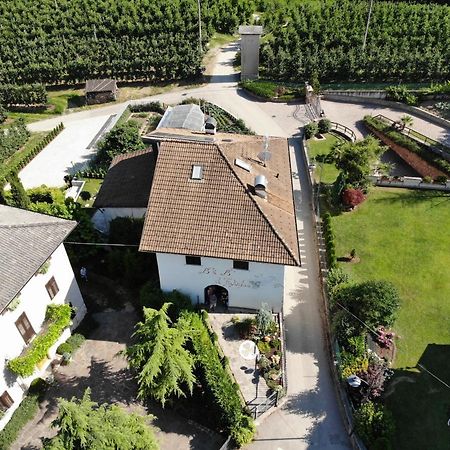 Al Trifoglio Bed & Breakfast Campodenno Exterior photo